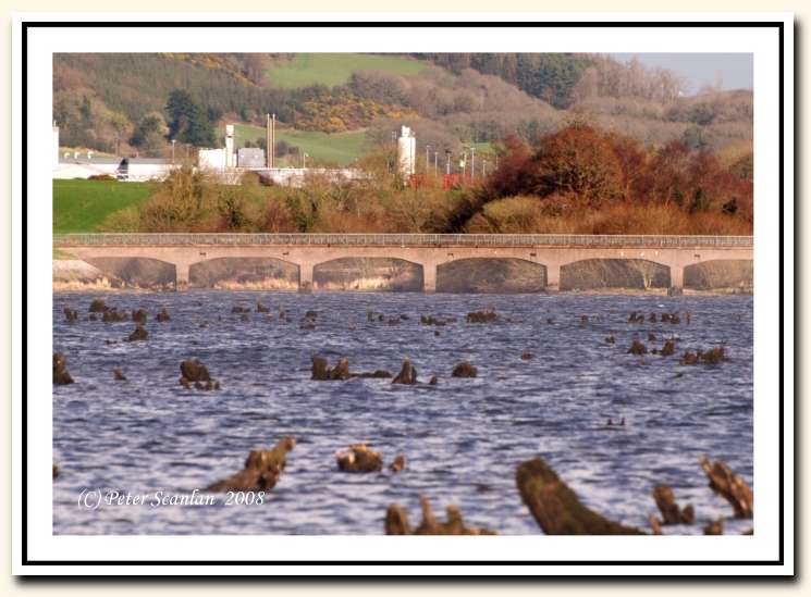 Gearagh, Macroom, Landscape